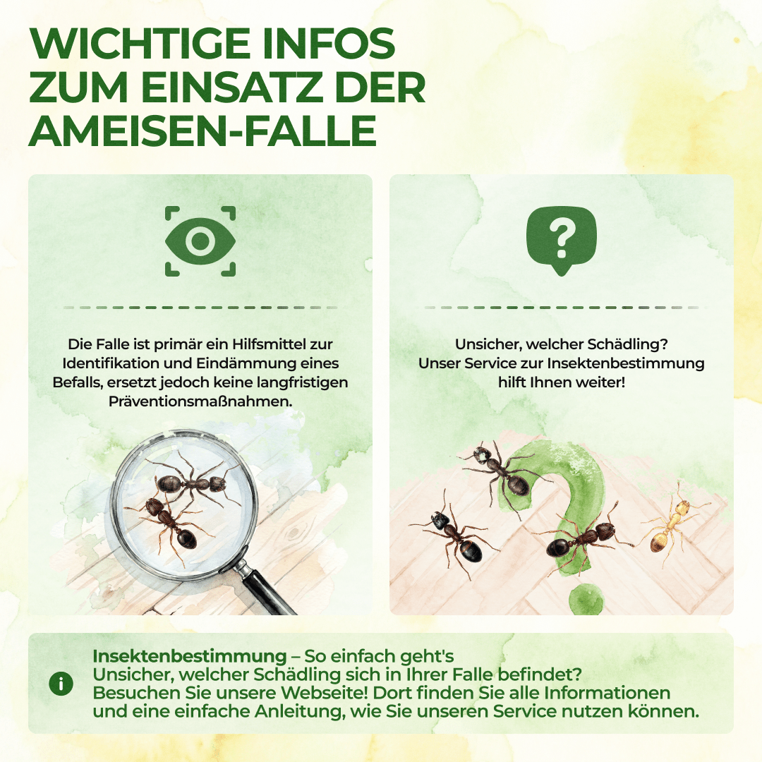Ameisen Falle - Green Guardia - Ihr Experte für Schädlinge und Pflanzen