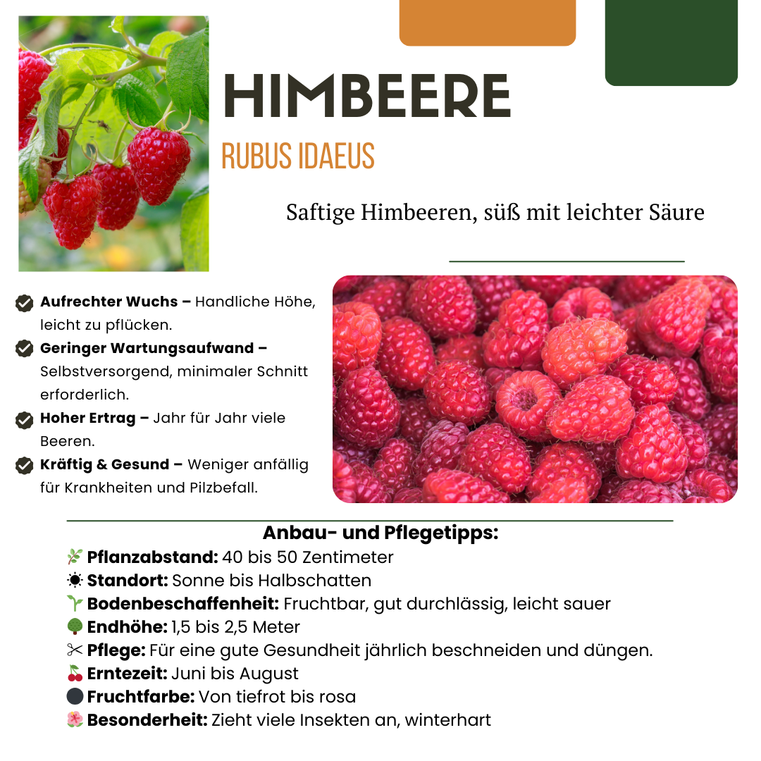 BIO Obstpflanzen - Set „Früchte - Oase“ – Mix aus 5 Sorten - Green Guardia - Ihr Experte für Schädlinge und Pflanzen