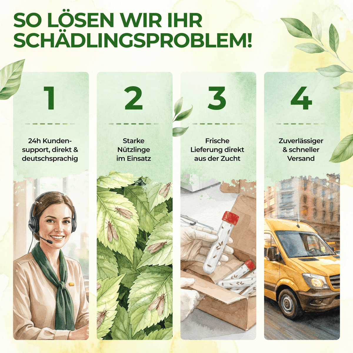 Braune Florfliegen gegen Blattläuse, Thripse, Spinnmilben und Co. - Green Guardia - Ihr Experte für Schädlinge und Pflanzen