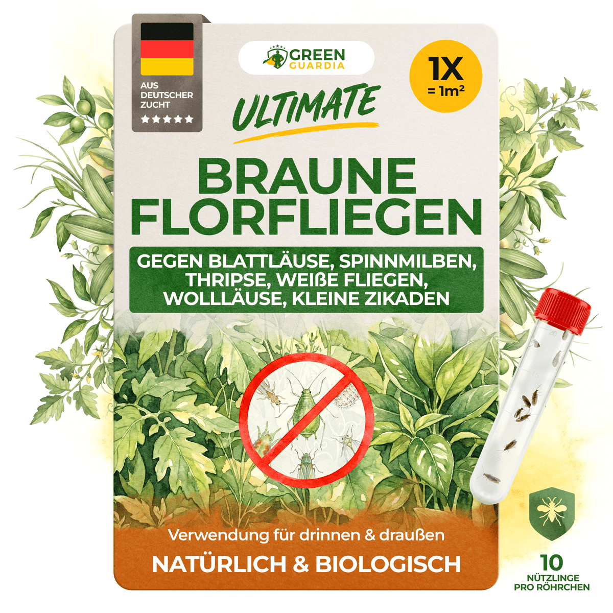 Braune Florfliegen gegen Blattläuse, Thripse, Spinnmilben und Co. - Green Guardia - Ihr Experte für Schädlinge und Pflanzen