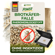 Brotkäfer Falle