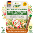 Florfliegeneier gegen Blattläuse, Thripse, Spinnmilben und Co.