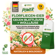 Florfliegeneier gegen Blattläuse, Wollläuse