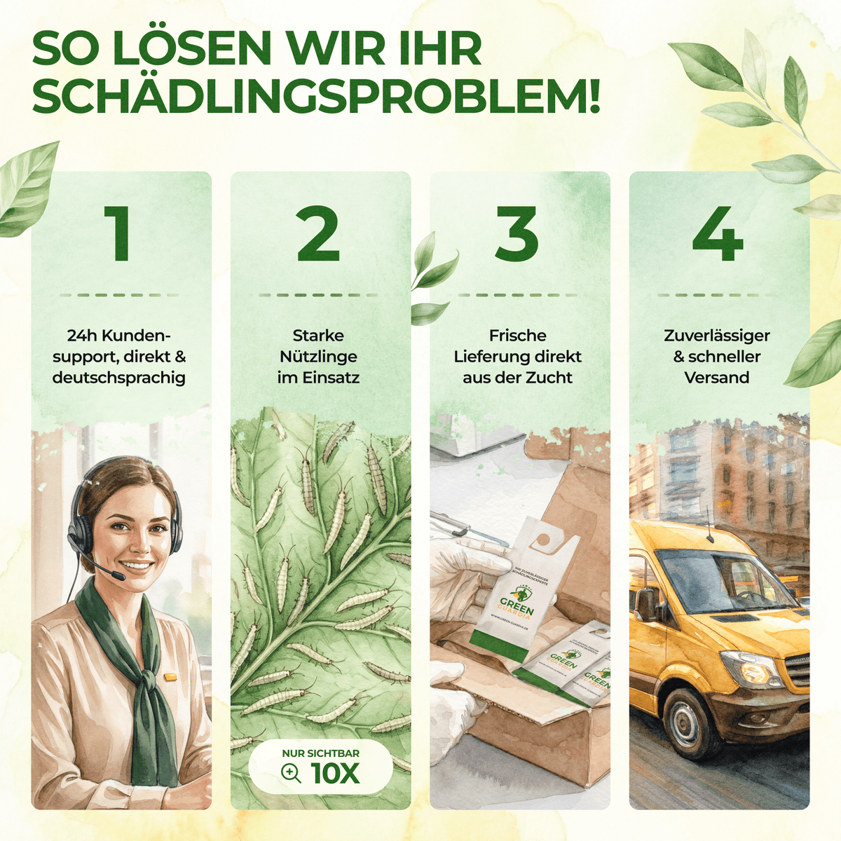 Florfliegenlarven - Eier gegen Blattläuse, Wollläuse - Green Guardia - Ihr Experte für Schädlinge und Pflanzen