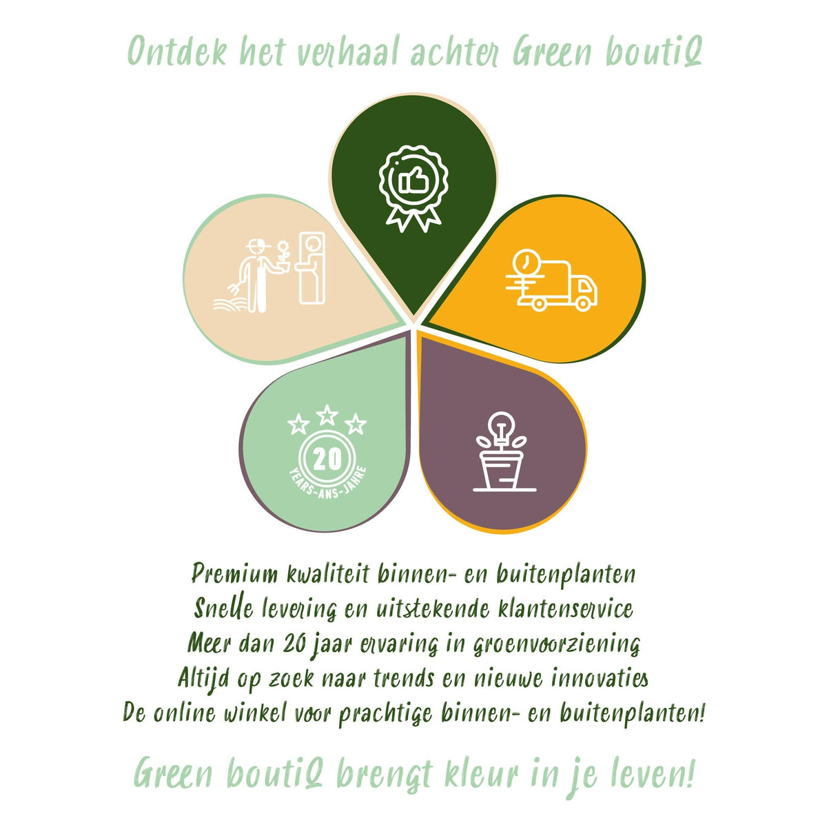 Hibiscus ‘Hamabo’ – laubabwerfend, hellrosa blühend, 17 cm Topf, 45 cm hoch - Green Guardia - Ihr Experte für Schädlinge und Pflanzen