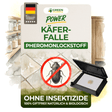 Käfer Falle