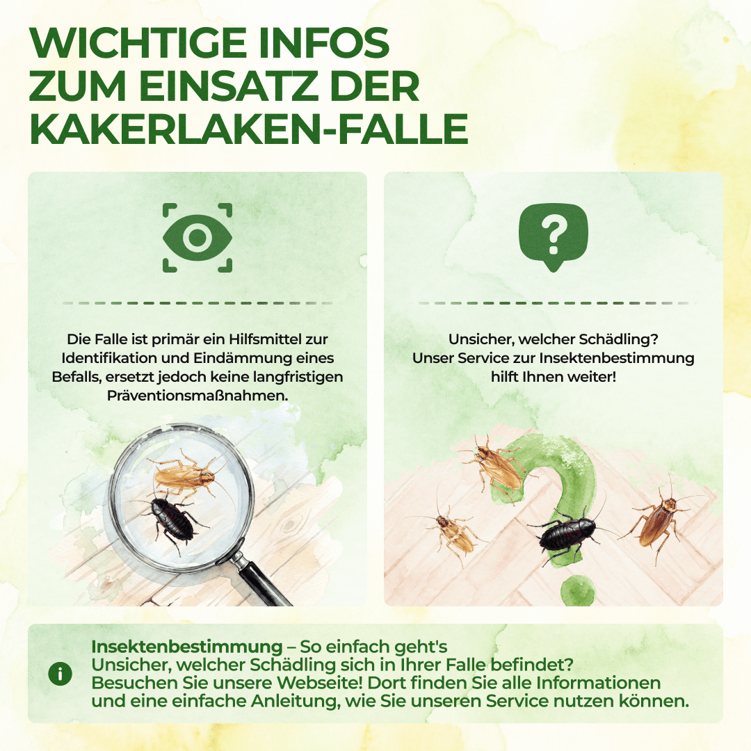 Kakerlaken / Schaben Falle - Green Guardia - Ihr Experte für Schädlinge und Pflanzen