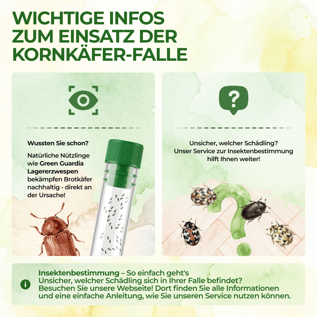 Kornkäfer Falle - Green Guardia - Ihr Experte für Schädlinge und Pflanzen