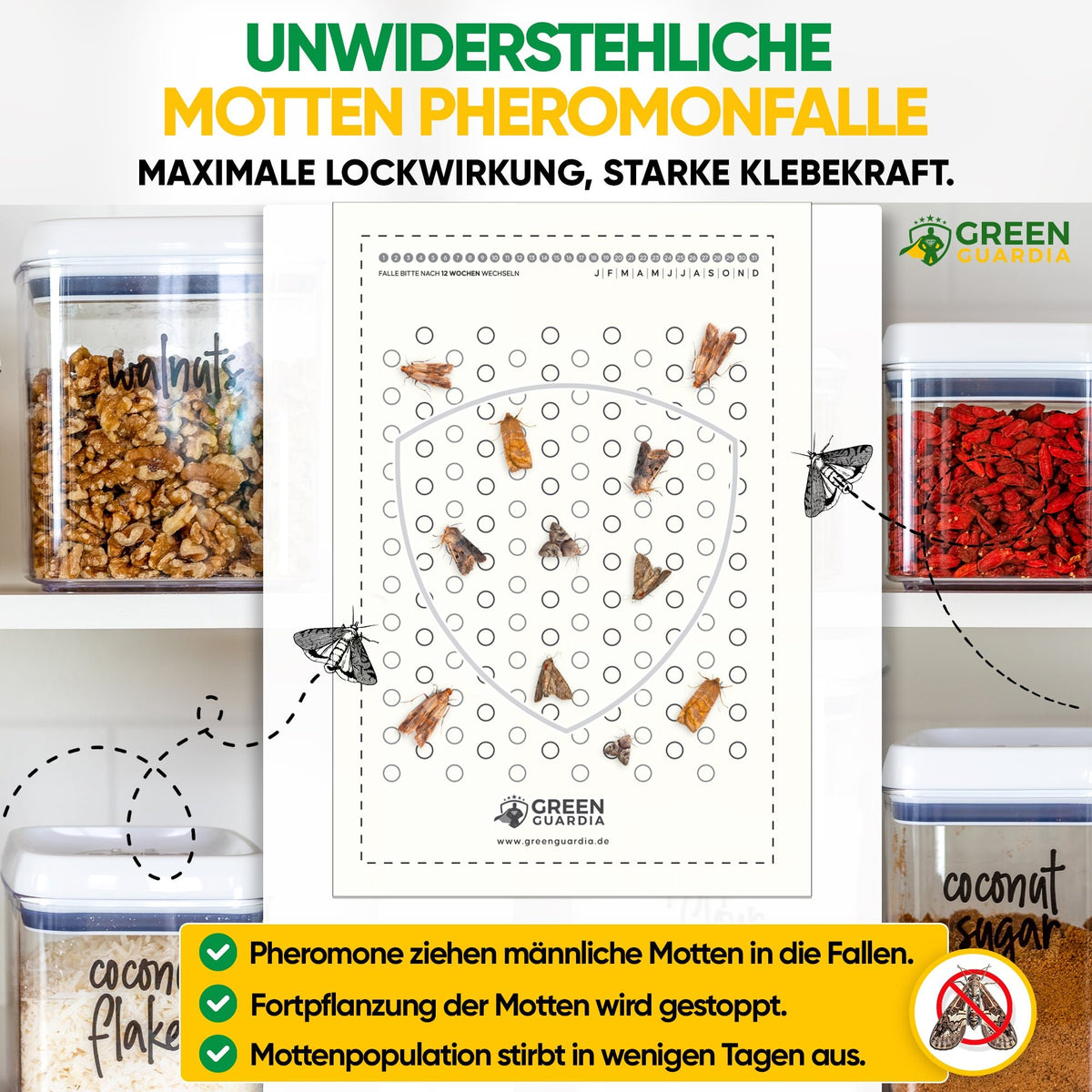Lebensmittelmotten - Falle (10 Stück Vorteilspack) - Green Guardia - Ihr Experte für Schädlinge und Pflanzen