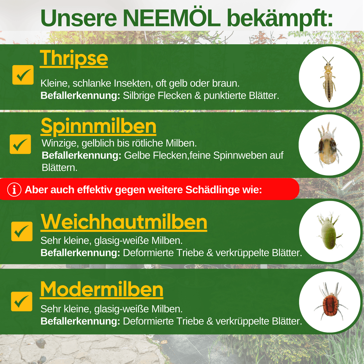Power Neemöl gegen Thripse - Green Guardia - Ihr Experte für Schädlinge und Pflanzen