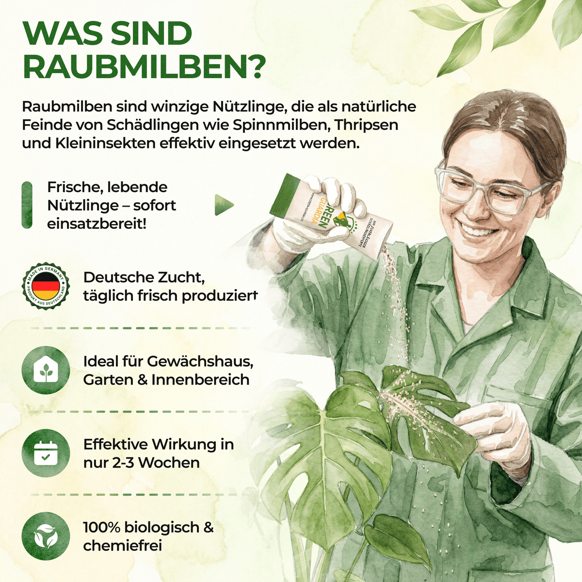 Raubmilben gegen Thripse - Green Guardia - Ihr Experte für Schädlinge und Pflanzen