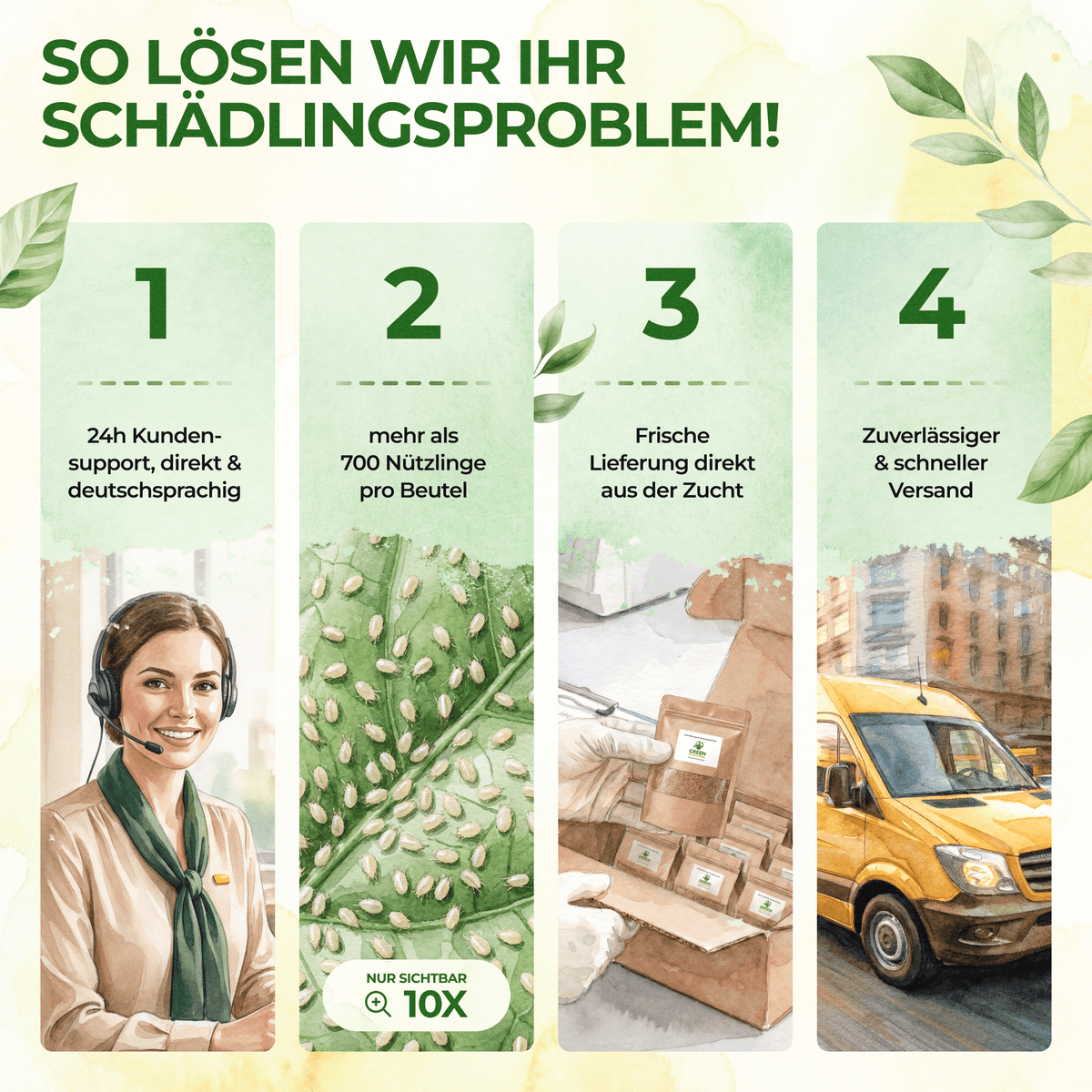Raubmilben gegen Thripse - Green Guardia - Ihr Experte für Schädlinge und Pflanzen