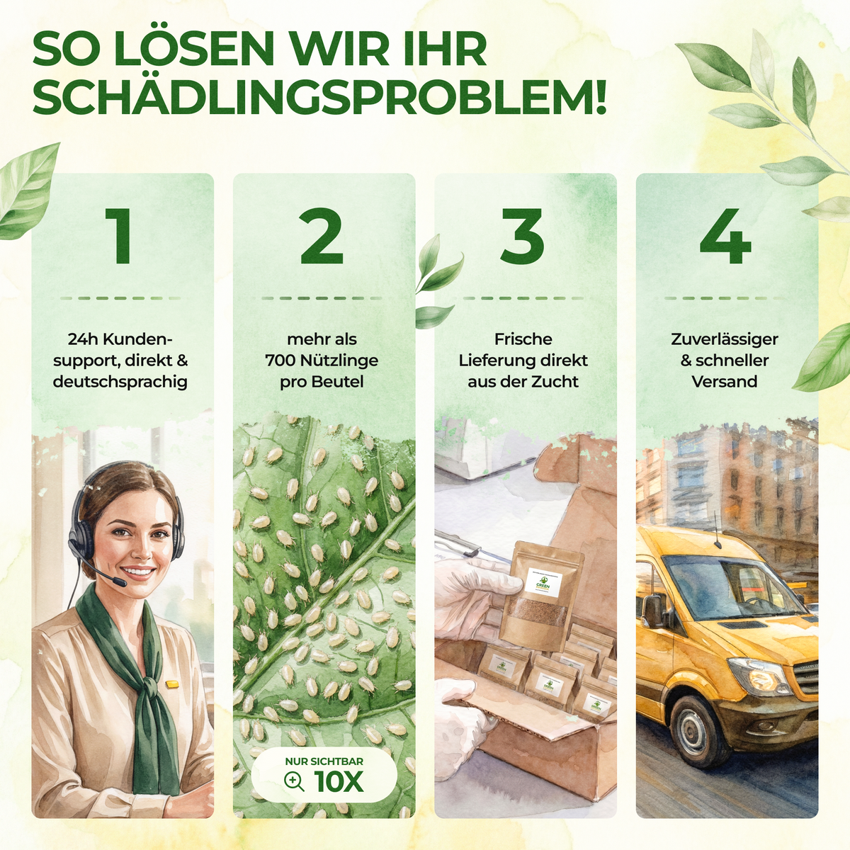 Raubmilben Mix gegen Thripse & Spinnmilben