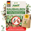 Raubmilben Hypoapsis Miles gegen Trauermücken & Rote Vogelmilben