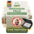 Teppichkäfer Falle