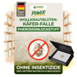 Wollkrautblütenkäfer Falle